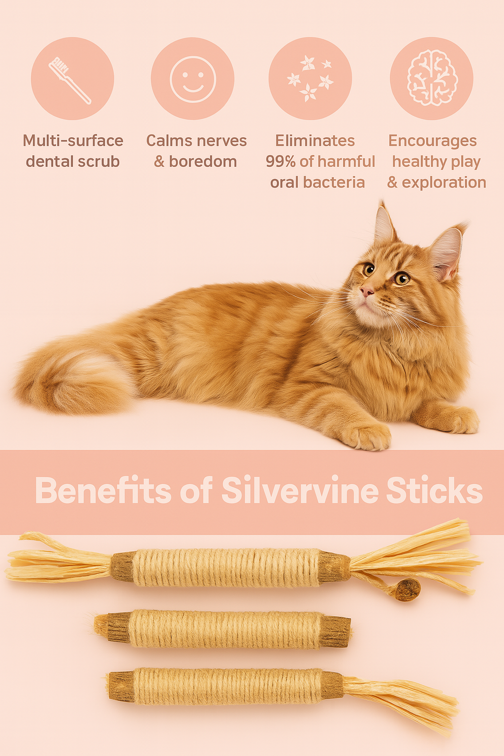 Silvervine Dental Sticks